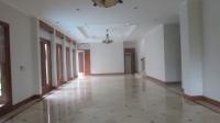 TC-PI190 - IMG_7870.JPG