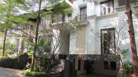 TC-PJ135 - IMG_4983.JPG