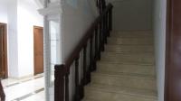 TC-PI284 - IMG_3829.JPG