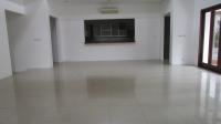 TC-CL006 - IMG_2744.JPG