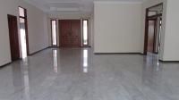 TC-CL301 - IMG_3641.JPG