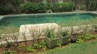 TC-AP016 - IMG_3778.JPG