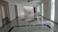 TC-PI200 - IMG_9451.JPG