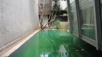 TC-PI167 - IMG_3394.JPG