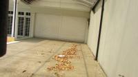 TC-KM072 - IMG_3373.JPG