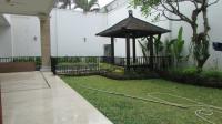 TC-PI196 - IMG_8495.JPG