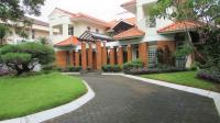 TC-PI241 - IMG_5603.JPG