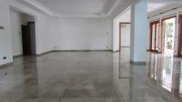 TC-PI236 - IMG_4713.JPG