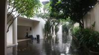 TC-CP272 - IMG_3513.JPG