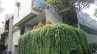 TC-CL169 - IMG_8431.JPG