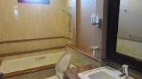 TC-PI171 - IMG_4687.JPG