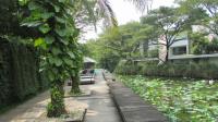 TC-PM036 - IMG_3755.JPG