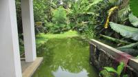 TC-AP052 - IMG_4522.JPG