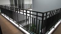 TC-CL445 - IMG_3916.JPG