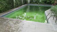 TC-PI070 - IMG_5456.JPG