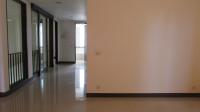 TC-CL339 - IMG_9898.JPG