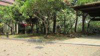 TC-PJ067 - IMG_4113.JPG