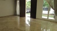 TC-PI278 - IMG_2685.JPG