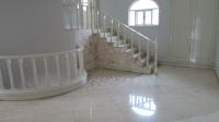 TC-CL391 - IMG_7574.JPG