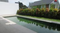 TC-CL369 - IMG_4220.JPG