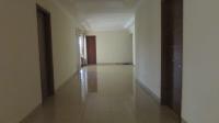 TC-CL347 - IMG_1526.JPG