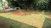 TC-KM060 - IMG_3100.JPG