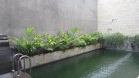 TC-CL307 - IMG_2990.JPG