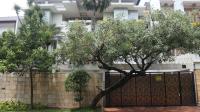 TC-PI302 - IMG_3101.JPG