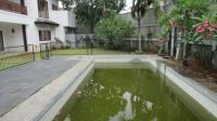 TC-PJ175 - IMG_0044.JPG