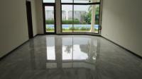 TC-CL301 - IMG_3642.JPG