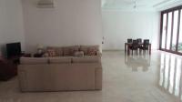 TC-CP255 - IMG_5659.JPG