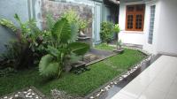 TC-CL452 - IMG_5237.JPG