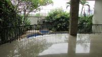 TC-CL316 - IMG_6173.JPG