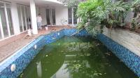 TC-CL149 - IMG_9909.JPG