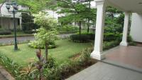 TC-PI290 - IMG_4799.JPG