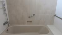 TC-PI125 - IMG_1278.JPG