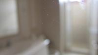 TC-PI198 - IMG_8528.JPG