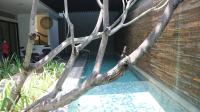 TC-PI299 - IMG_3659.JPG
