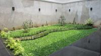 TC-PI244 - IMG_1805.JPG