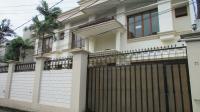 TC-CP175 - IMG_7261.jpg