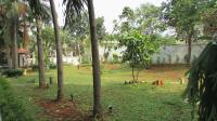 TC-KMS020 - IMG_3123.JPG