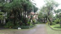 TC-CP258 - IMG_1172.JPG