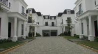 TC-CL372 - IMG_9440.JPG