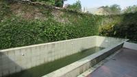 TC-KM194 - IMG_5451.JPG
