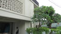 TC-CL029 - IMG_4429.JPG