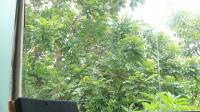 TC-CP256 - IMG_0217.JPG