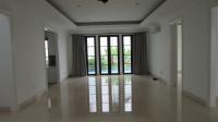 TC-CL373 - IMG_9391.JPG