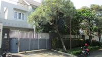 TC-PI170 - IMG_4216.JPG