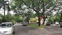 TC-PI081 - WhatsApp_Image_2019-07-23_at_12.01.51.jpeg