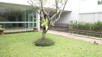 TC-CL473 - IMG_1694.JPG